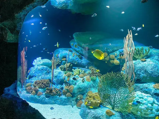 Thailand's Pattaya Underwater World is so cool! One second to travel to the bottom of the sea.