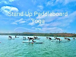 SUP Yoga | Bahia Resort Hotel