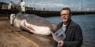 The Whale Revisited | The Beacon Museum