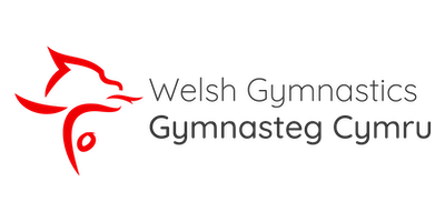 South East Area Preliminary Championships 2024 | City of Newport Gymnastics Academy