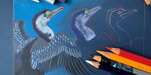 Portraying Birds in Colour Pencil | Sugar Valley Library Museum
