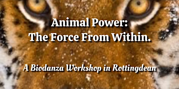 Animal Power: The Force From Within. A Biodanza Workshop. | Rottingdean Hall