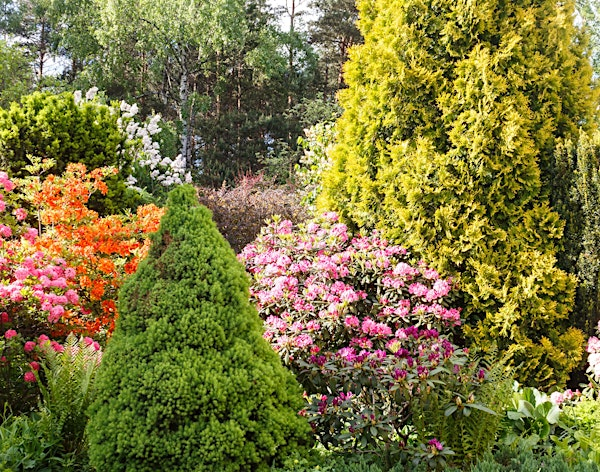Master Gardeners FREE Q&A at GARDENWORKS Saanich | GARDENWORKS Saanich