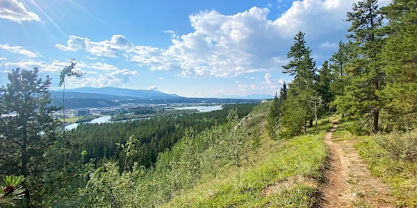 Neighbourhood Nature: Hospital Ridge | Wickstrom Road