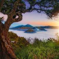 MOUNT BROMO, EAST JAVA