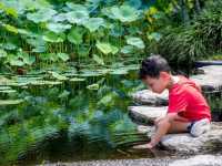 Naples Botanical Garden