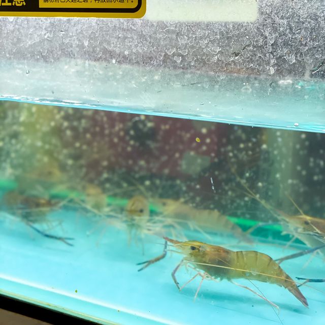 即夾即燒生猛海蝦🦐