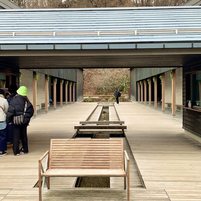 【長野】星野リゾートの温泉「トンボの湯」