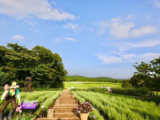 제주 에코랜드 그림처럼 예쁜곳