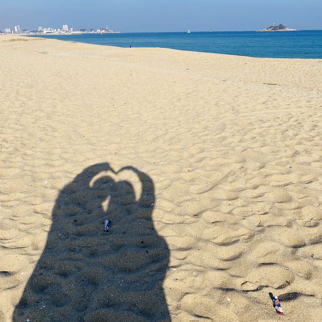 속초바다를 감싼 둘레길 바다향기로