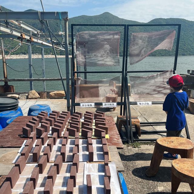 水鄉大澳～傳統棚屋漁村風情