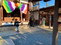 京都　SAKURA 桜めぐり❗️高台寺の桜に感動❗️
