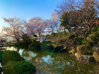 京都　京都散策旅！ねねの道から清水寺まで散策してみた！