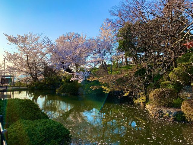 京都　京都散策旅！ねねの道から清水寺まで散策してみた！