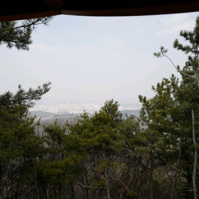 대전 우성이산 등산 