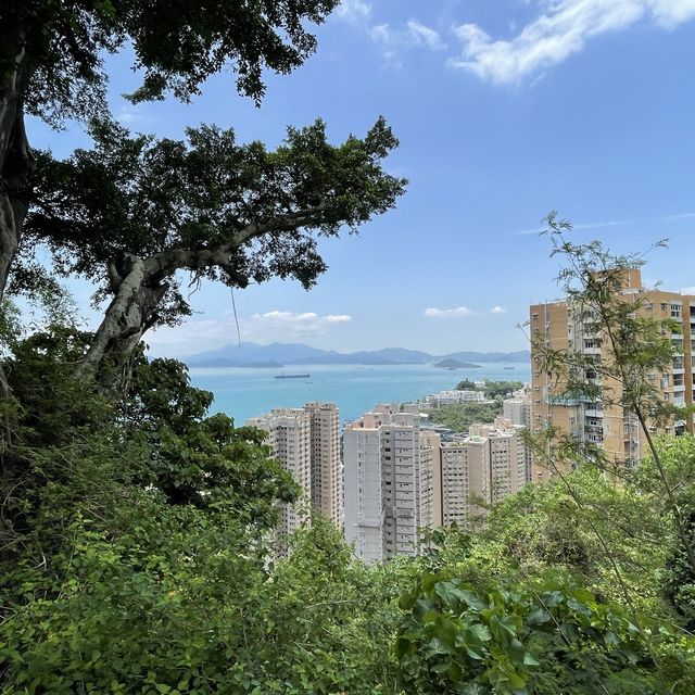薄扶林牧場