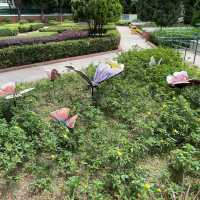 賞花好地方「蝴蝶灣公園」