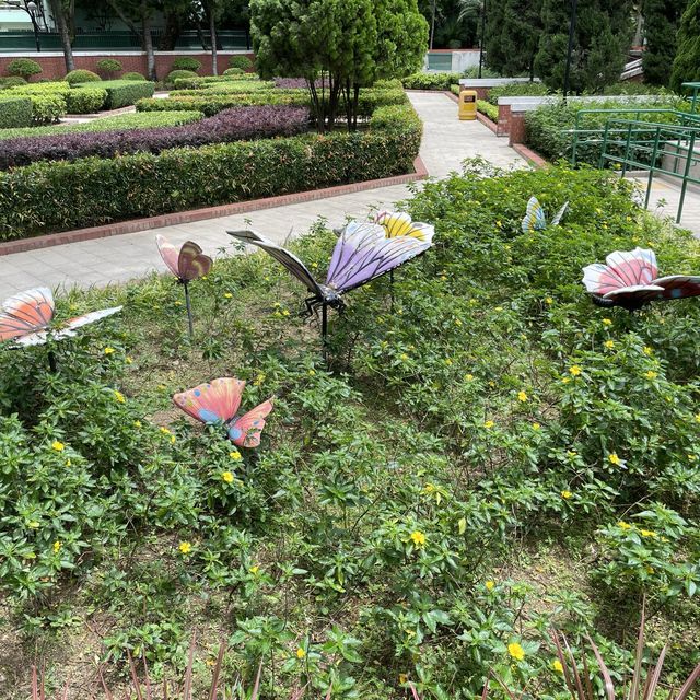 賞花好地方「蝴蝶灣公園」