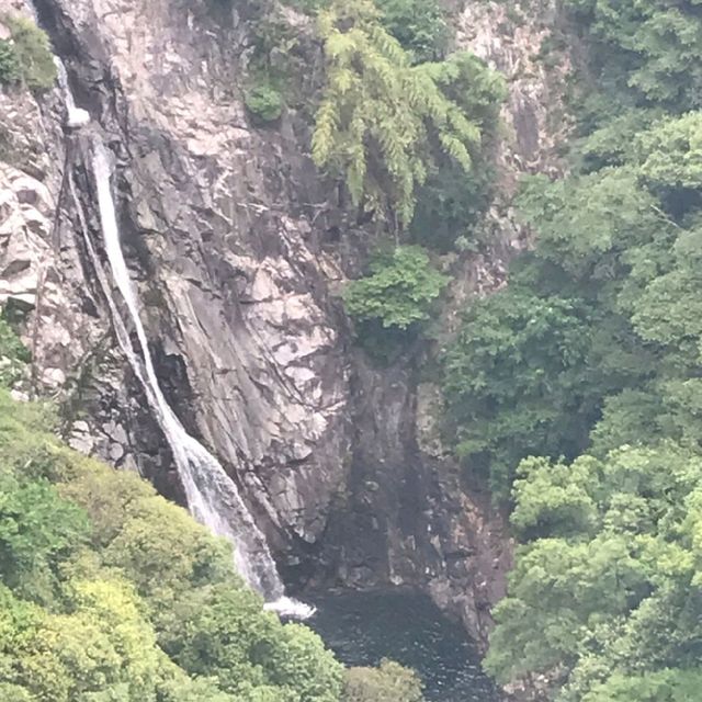 布引ハーブ園