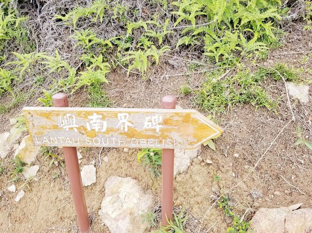 分流