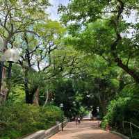 Old Park nice for a stroll