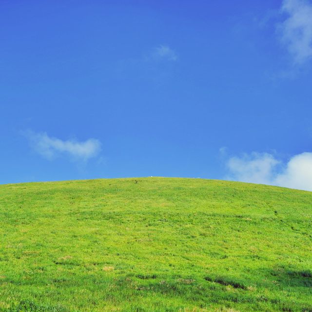 ⛰️ 초록빛의 오름산책을 더위가 막을 순 없지, 새별오름
