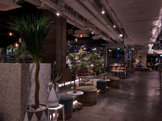 코엑스 안에 분위기 좋은 대형카페✨스템커피👀