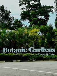 세계 최고의 무료 식물원 Singapore Botanic Gardens