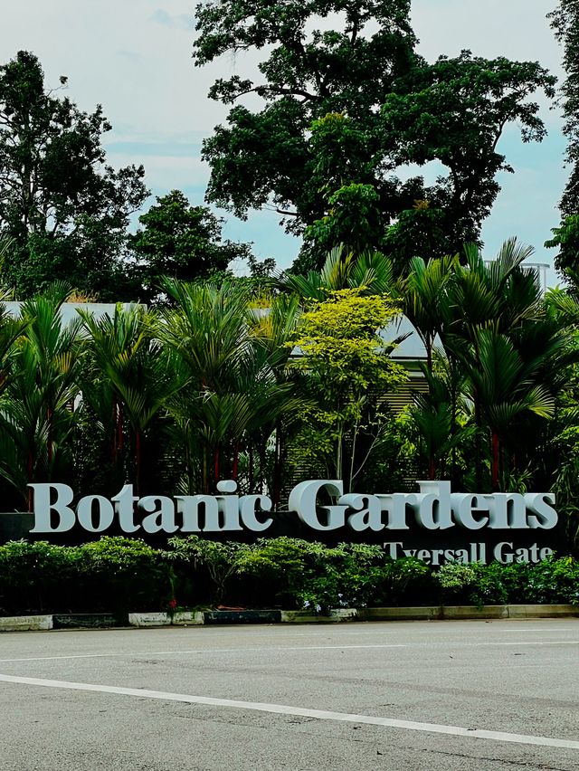 세계 최고의 무료 식물원 Singapore Botanic Gardens