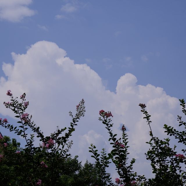 隱世無人打卡公園