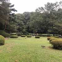 東京裡的聖地神宮⛩遼闊綠地森林一起來淨化心靈吧☺️