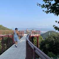 台北內湖區 ｜ 碧山露營場