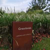 Jurong Lake Gardens