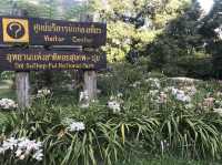 Mesmerizing Day tour at Doi Suthep Pui
