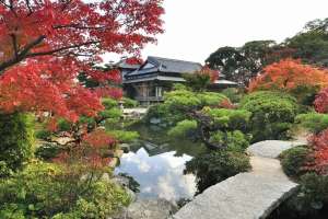 Chofu Garden