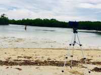 Shalala Beach