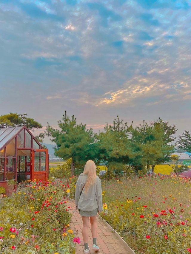 천안 핑크뮬리 카페☕️