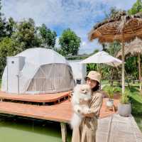 ชวนน้องหมาไปแคมป์ปิ้ง || ปาท่องโก๋ กาญจนบุรี