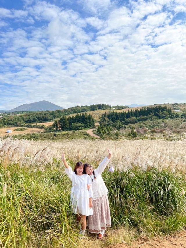 제주 가을 필수 여행 코스, ‘새별오름’