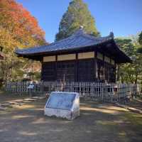 【東京都】秋の妖怪・天狗門🍁　哲学堂公園