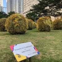 太古公園花藝裝置展覽 🌺🌸🌼，打咭一流 👍🏼👍🏼👍🏼