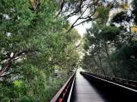 Northbridge! The Walkway! & Miss Maud!💞