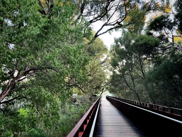 Northbridge! The Walkway! & Miss Maud!💞