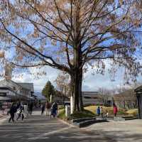 栗子之鄉 小布施町