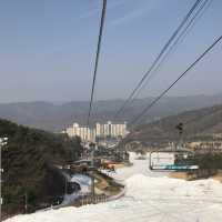 스키와 보드의 계절, 오크밸리 스키 리조트에서 즐겨요🏂