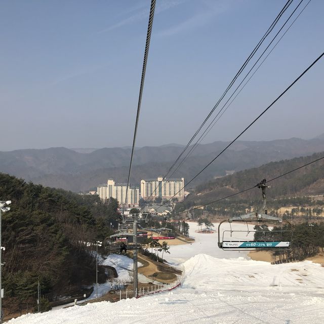 스키와 보드의 계절, 오크밸리 스키 리조트에서 즐겨요🏂