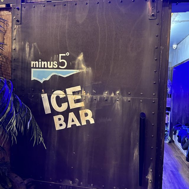 NZ 南島 皇后鎮 Minus 5 ICE Bar 
