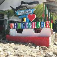 Whale Shark Watching in Oslob