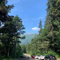 Girdwood Forest Fair