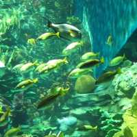 海洋公園🤩合家觀之選